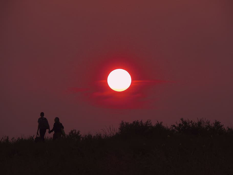 HD wallpaper: 2 Person Walking Hand in Hand during Sunset, grass ...