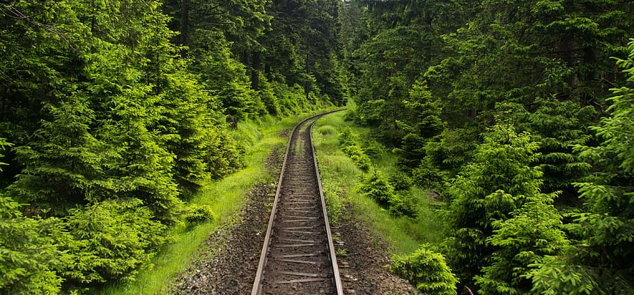 germany, wernigerode, brocken, railroad, train, forest, tracks, HD wallpaper