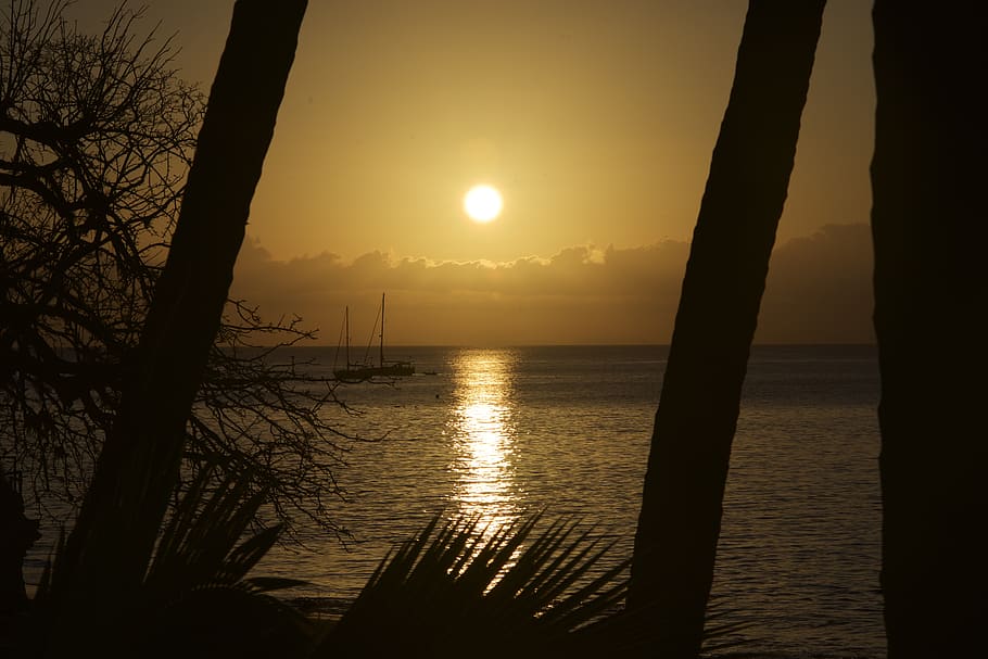 sunset, beach, sea, palms, nature, holiday, sky, water, silhouette, HD wallpaper