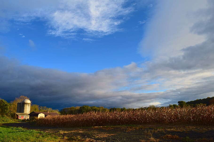 silo, farm, barn, sunlight, autumn, clouds, sky, agriculture HD wallpaper