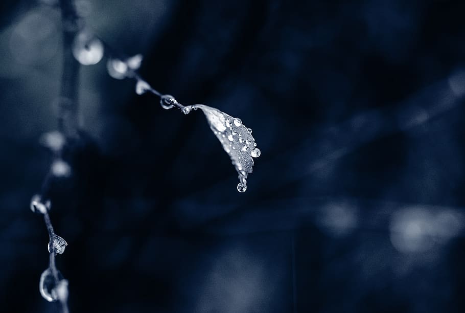 Photo of Water Droplet, black and white, blurred background, close-up