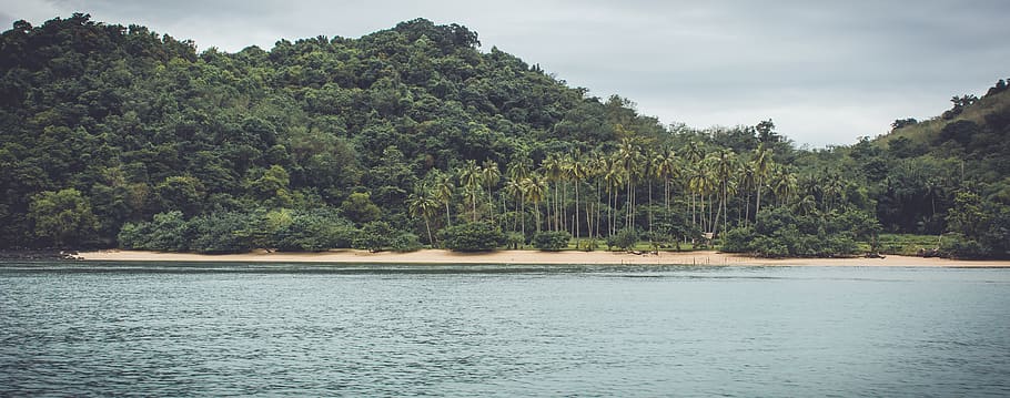 trees, palms, beach, sea, sand, jungle, forrest, thailand, krabi HD wallpaper
