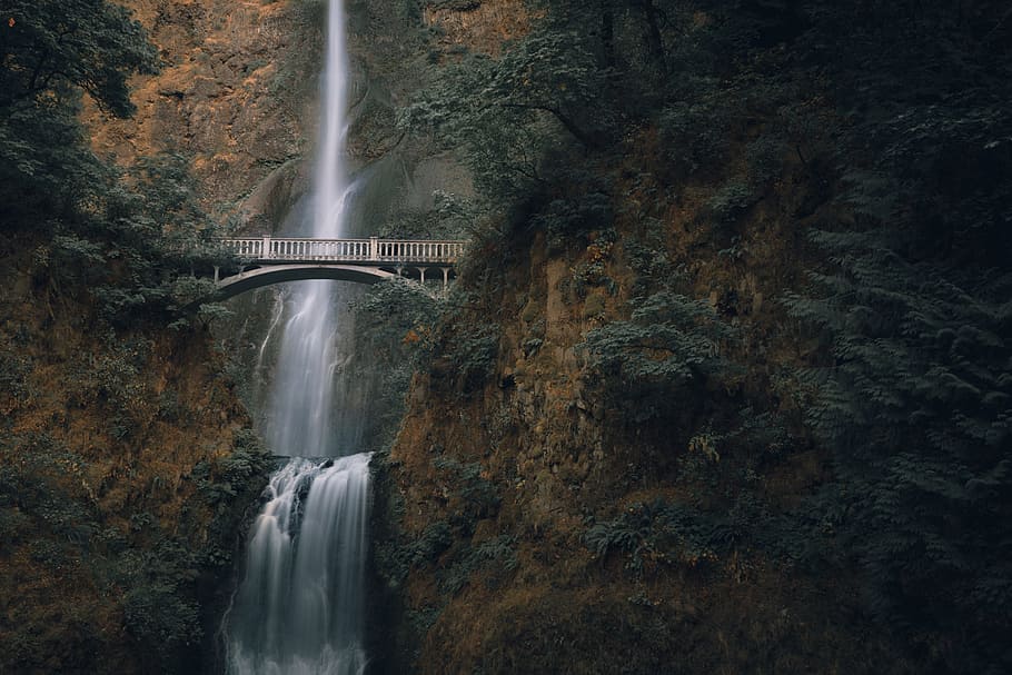 waterfalls during daytime, mountain, wildlife, forest, creek HD wallpaper