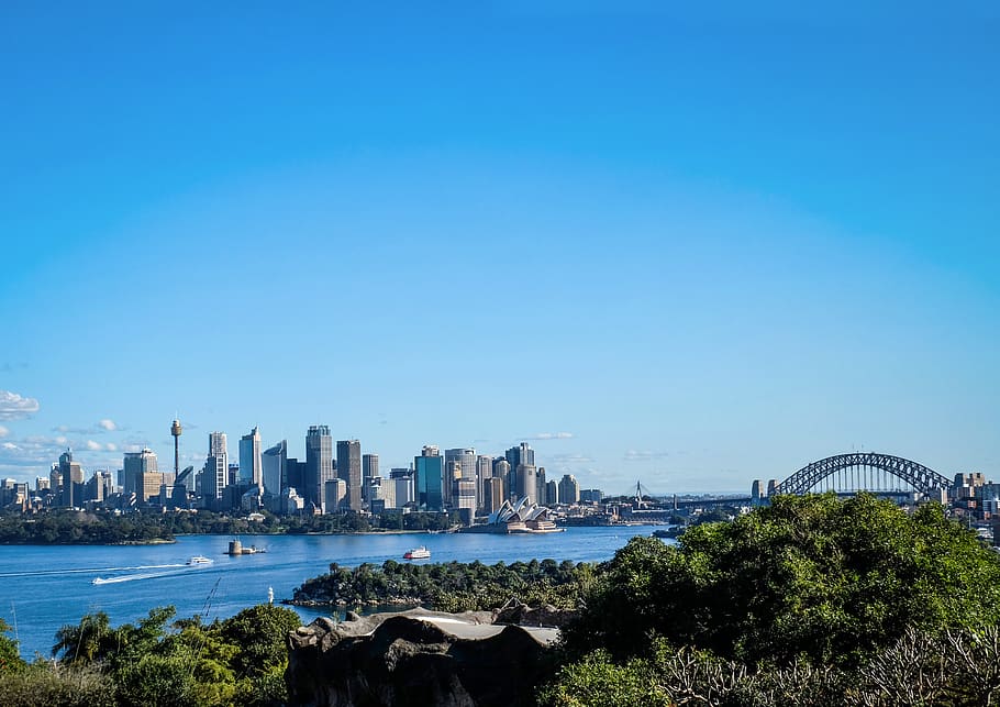 australia, taronga zoo, mosman, sydney, city, new south wales HD wallpaper