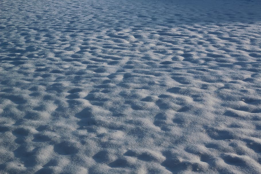snow, cold, winter, fresh, snowfall, nature, cold temperature HD wallpaper