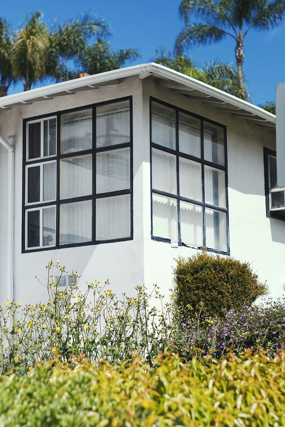 home decor, window, shrubs, palm trees, house, street, urban HD wallpaper
