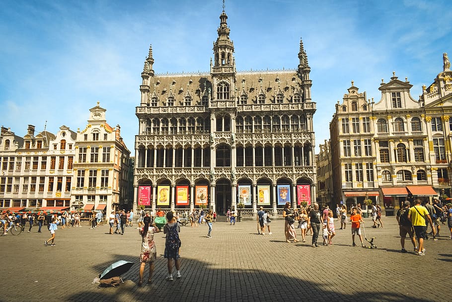 belgium, brussels, town hall, tourism, square, sightseeing, HD wallpaper