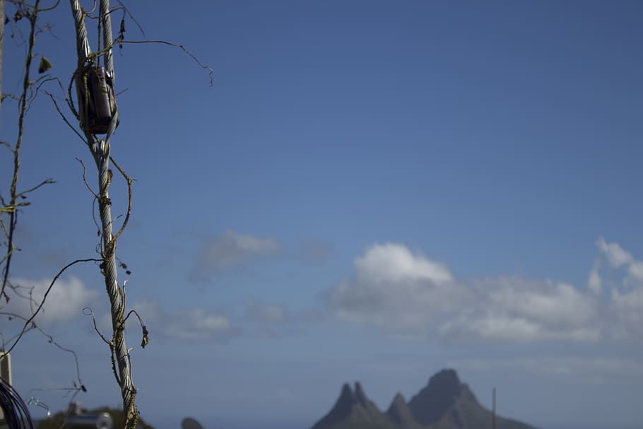 mauritius, hills, creeper, sky, clouds, cloud - sky, plant HD wallpaper