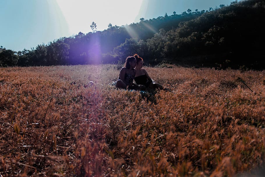 plant, land, field, sunlight, sky, nature, real people, two people HD wallpaper
