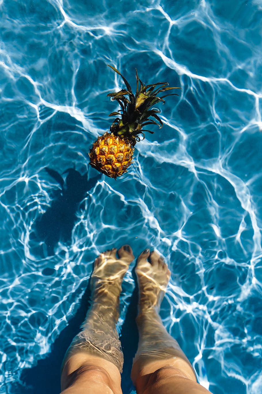 Pineapple in a swimming pool, day, summer, water, copyspace, fruits