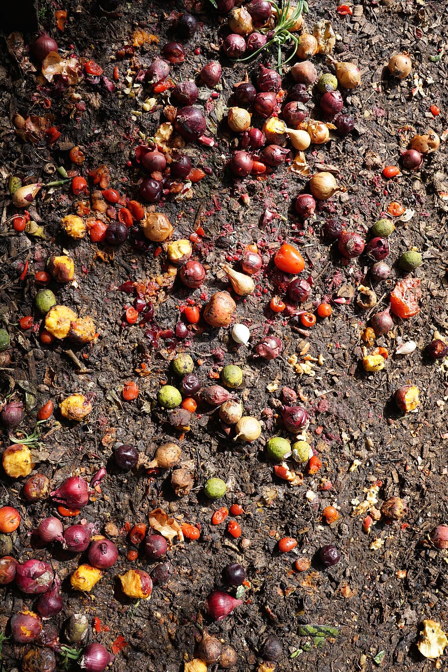denmark, food, food and drink, no people, high angle view, day HD wallpaper