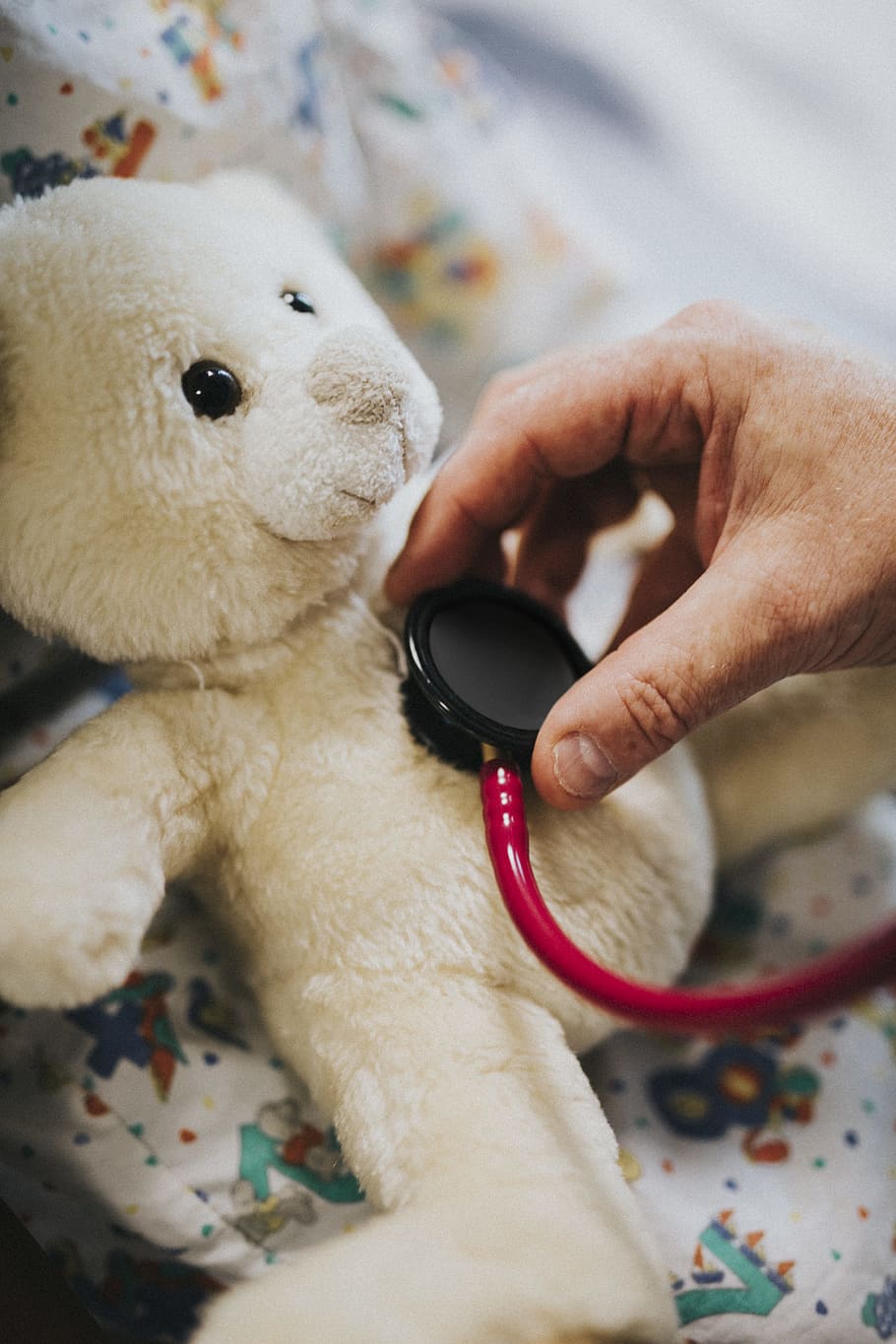 Person Using Stethoscope On Bear Plush Toy, care, check-up, checking, HD wallpaper