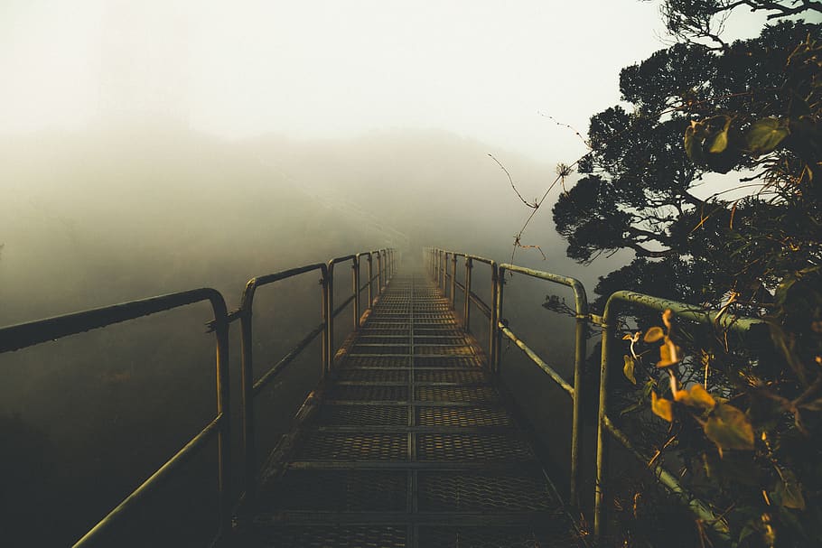 yellow metal bridge, banister, handrail, nature, railing, weather HD wallpaper