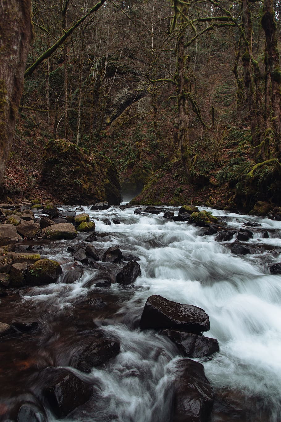 river flows over rocks, water, nature, stream, outdoors, creek HD wallpaper