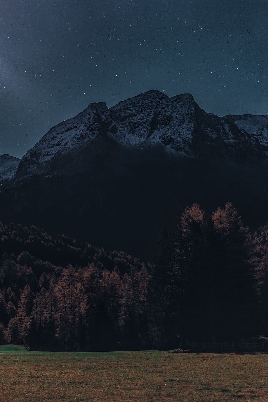 Trees Near Rocky Mountain , evening, landscape, nature, scenic HD wallpaper