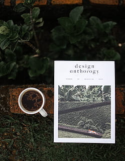 Design anthology book, drink, vegetation, plant, cup, tree, land HD wallpaper