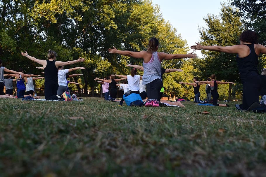 Women Performing Yoga on Green Grass Near Trees, active, activity HD wallpaper