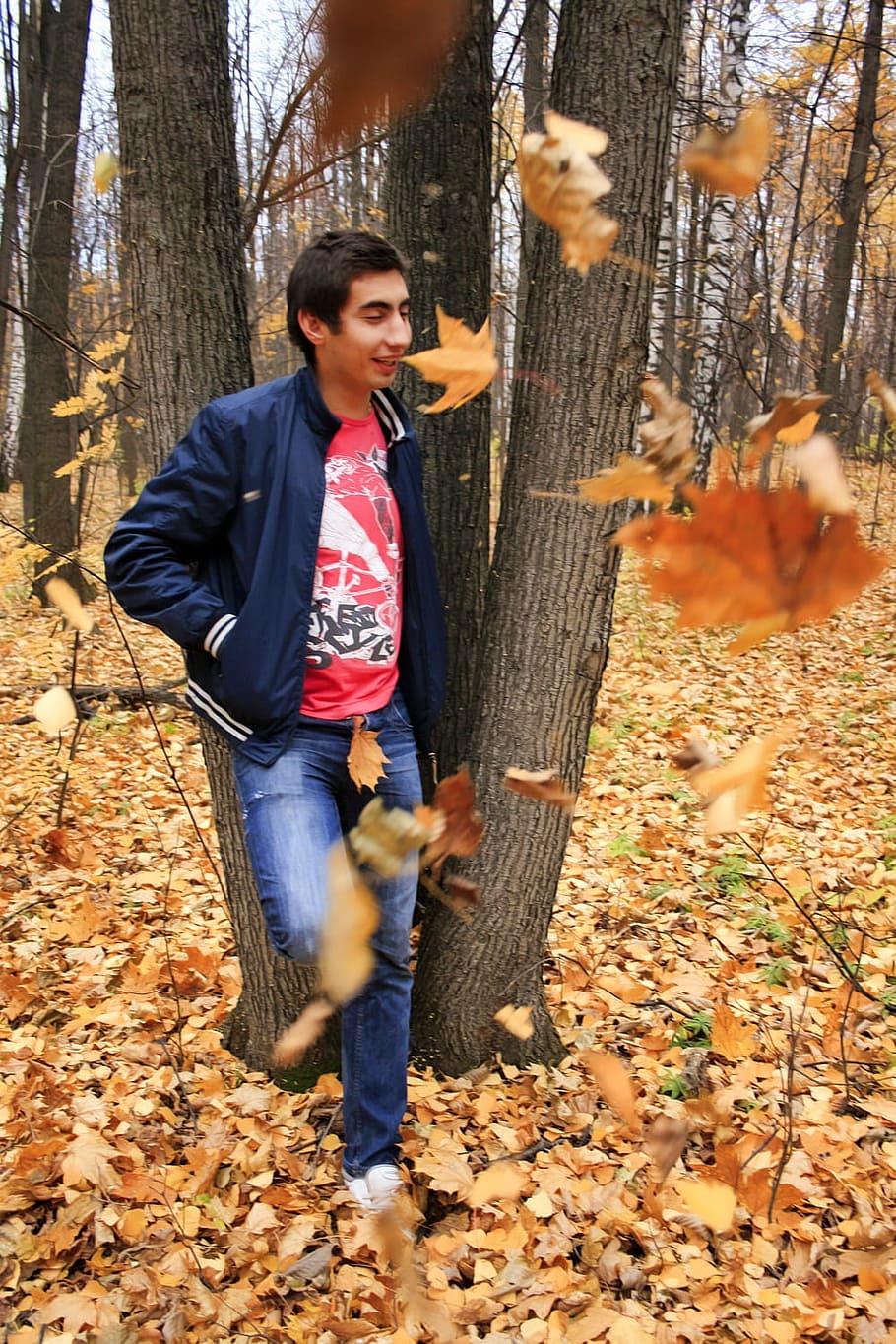 alone, autumn, bright, cold, colors, dry, fall, guy, leaves HD wallpaper