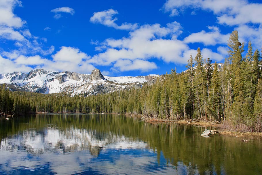 reflection, lake, forest, water, beauty in nature, scenics - nature HD wallpaper