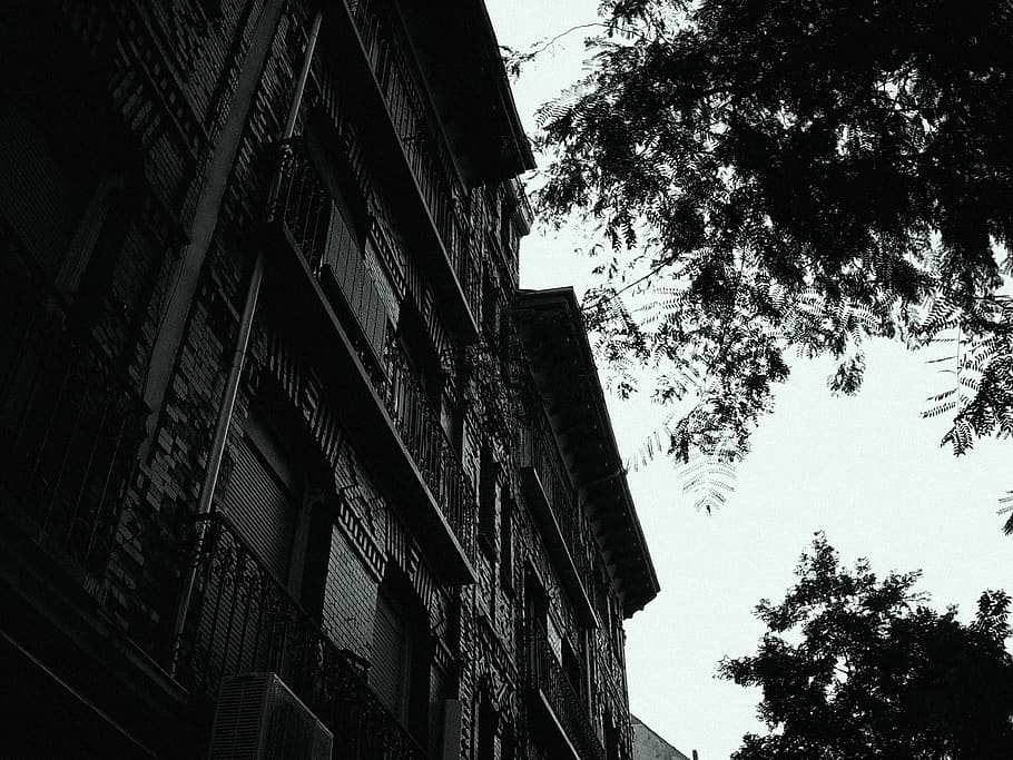 spain, madrid, tree, building exterior, architecture, built structure HD wallpaper