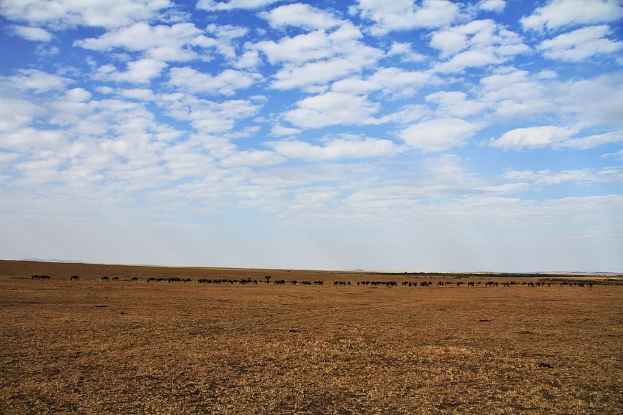 sky, cloud - sky, landscape, environment, no people, tranquil scene HD wallpaper
