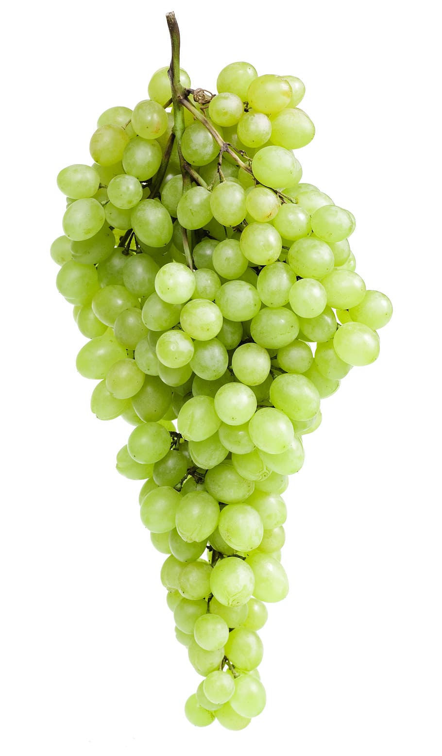 grapes, close-up, closeup, diet, dieting, eating, food, fresh HD wallpaper