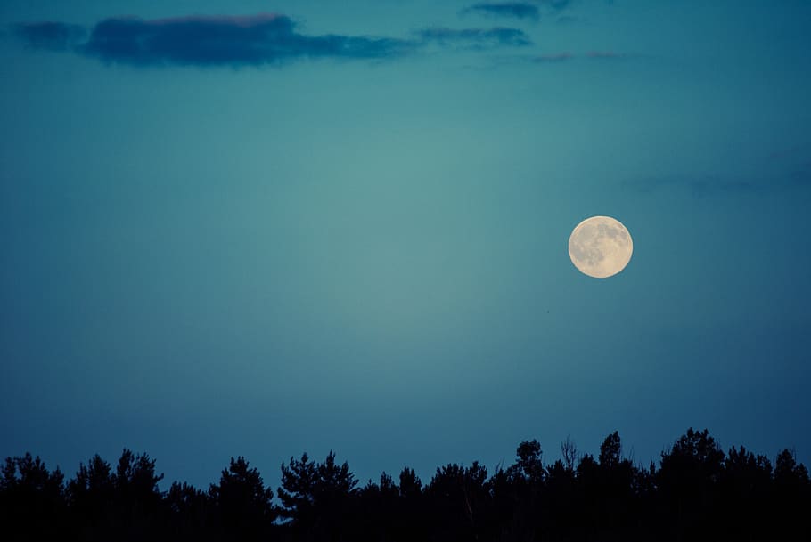 moon, sky, night, dark, silhouette, tree line, nature, dusk HD wallpaper