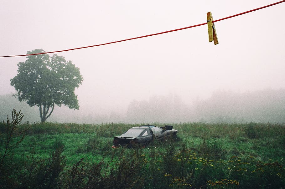 Old auto in field, abandoned, automobile, beautiful, broken, car HD wallpaper