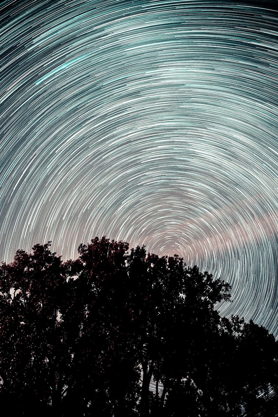 silhouette tree with whorl background, sky, star, long exposure HD wallpaper