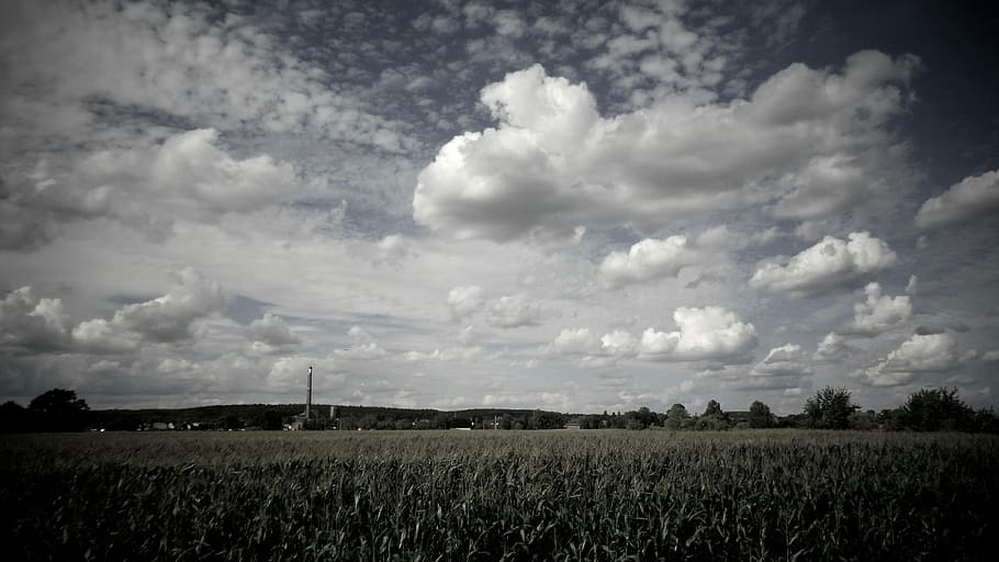 germany, plessa, clouds, summer, field, sky, sun, cloud - sky HD wallpaper