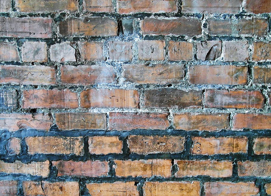 brown brick wall, stone wall, moss, plant, demolition, flower HD wallpaper