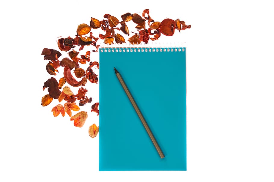 notebook, pen, page, is empty, to write, the draw, article HD wallpaper