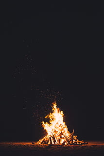 night, bonfire, woods, travel, beach, sand, burning, flame HD wallpaper