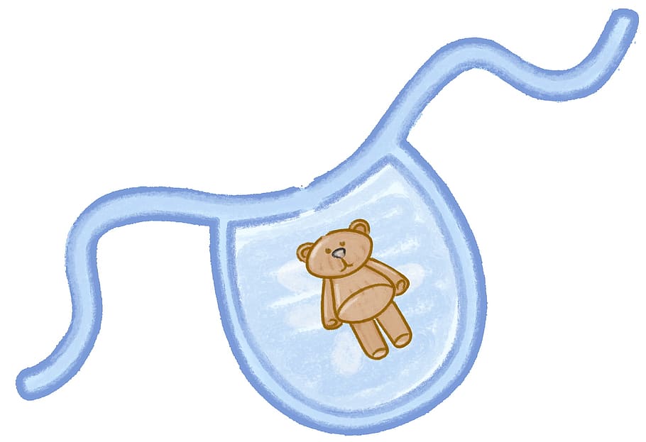 ted, teddy, bear, bib, graphics, cut out, white background HD wallpaper