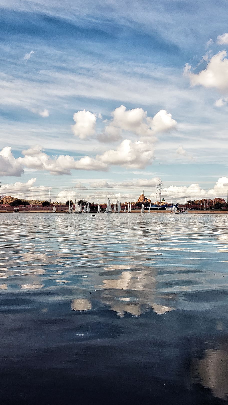 water, cloud - sky, nature, waterfront, beauty in nature, group of animals HD wallpaper