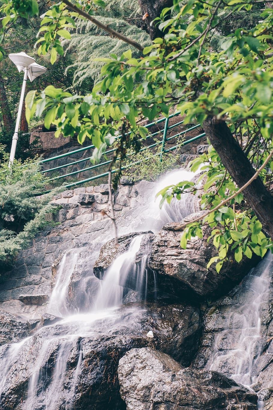 tree, tehran, nature, green, waterfall, jamshidieh park, plant HD wallpaper