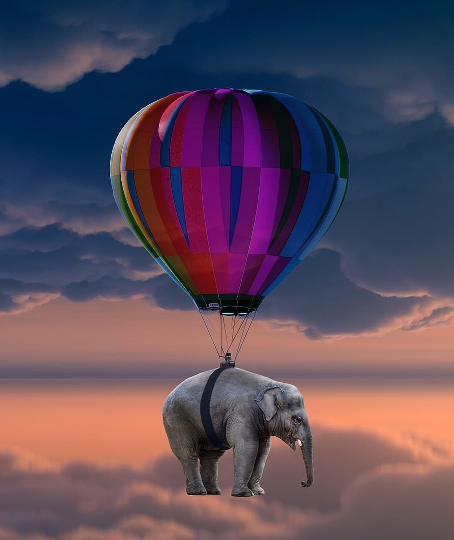 elephant, balloon, flying, weightless, hot air balloon ride HD wallpaper