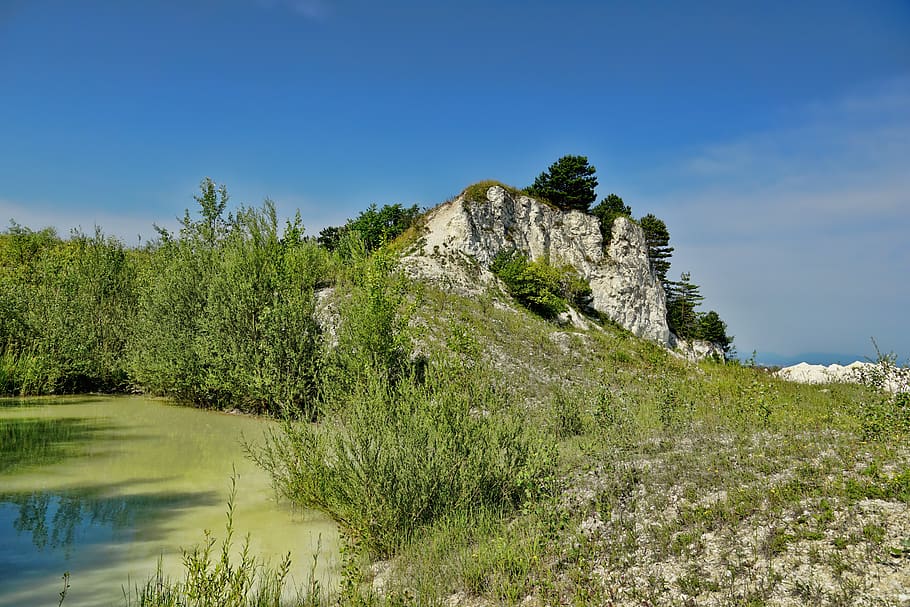 nature, pond, water, white cliffs, trees, sky, blue, plant HD wallpaper