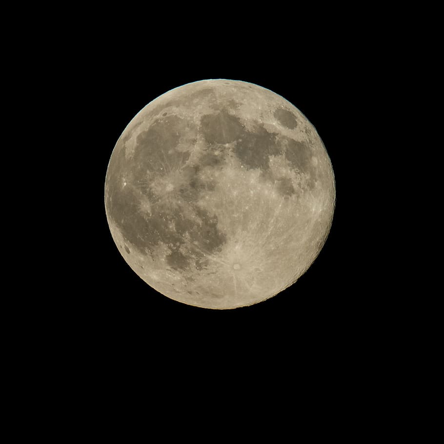moon, supermoon, nature, space, lunar, gravity, astronomy, night HD wallpaper