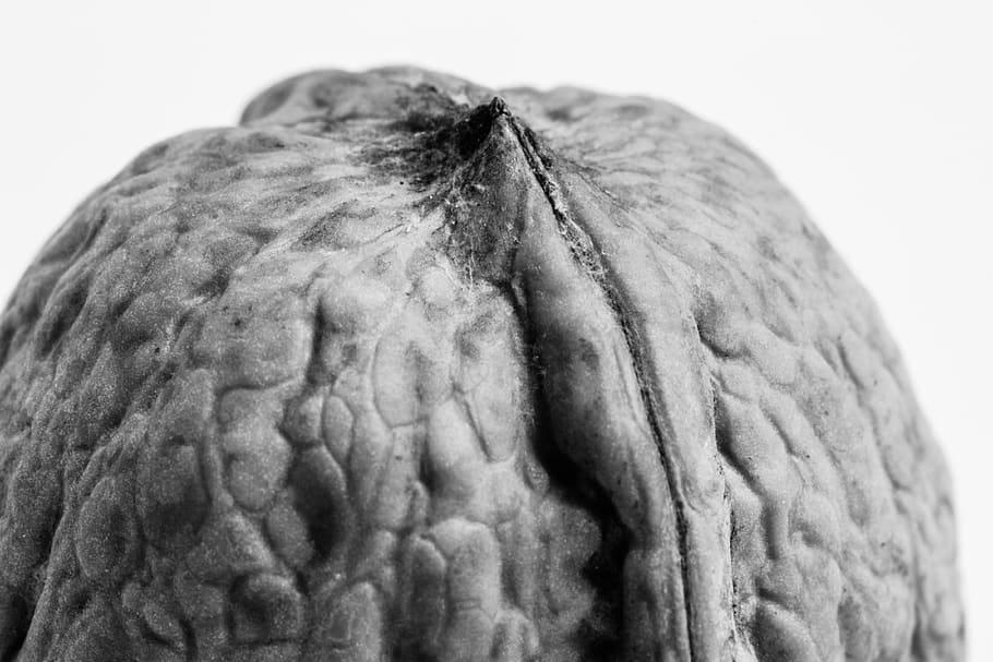 nut, walnut, shell, food, delicious, healthy, brown, tasty HD wallpaper