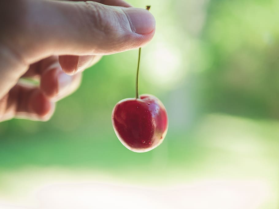 cherry, blur, green, background, holding, fruit, food, hand HD wallpaper