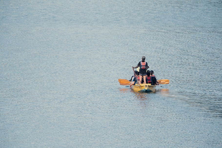 people riding on yellow boat, person, human, oars, transportation, HD wallpaper