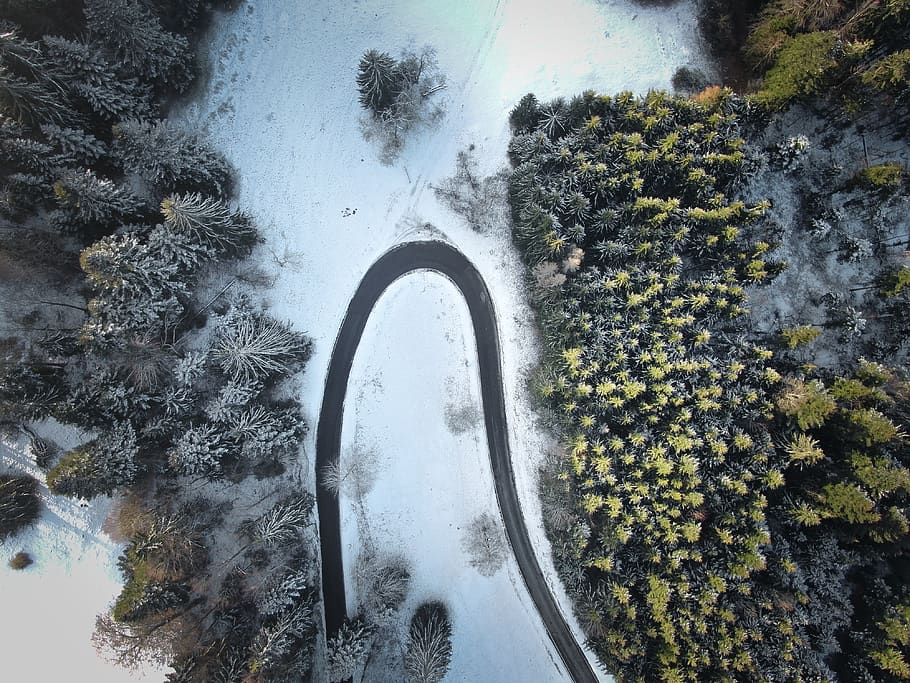 trees and road, nature, scenery, outdoors, landscape, ice, switzerland HD wallpaper