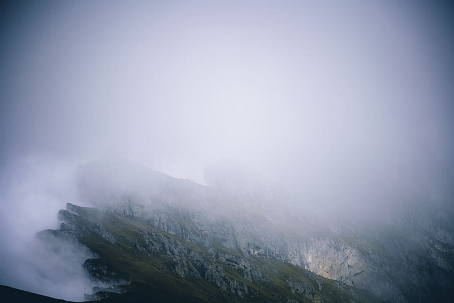 Brown Wooden Log on Winter, fog, landscape, mist, mountains, nature HD wallpaper