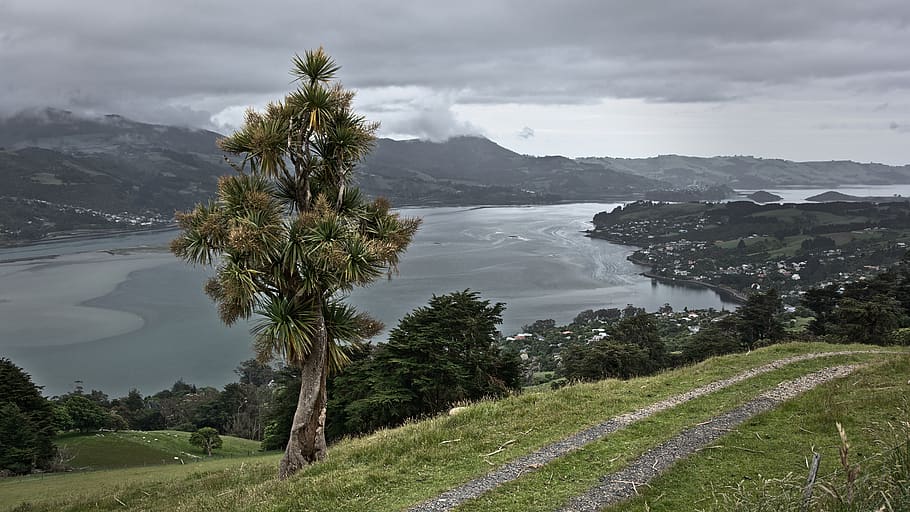 new zealand, dunedin, countryside, farmland, gloomy, grey, highcliff road