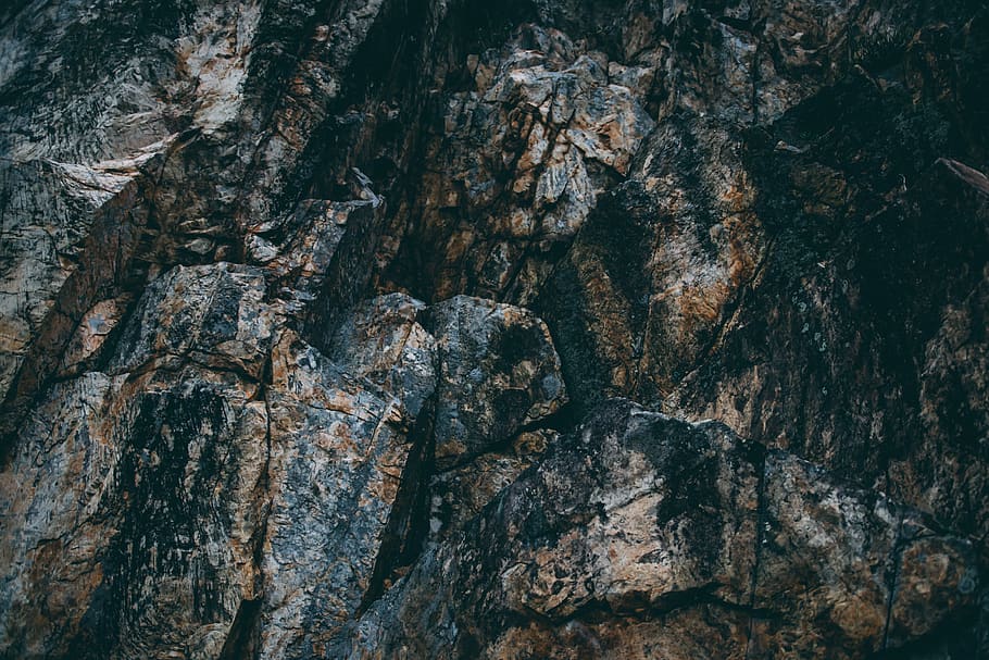 rock, background, land, earth, nature, textured, tree, backgrounds HD wallpaper