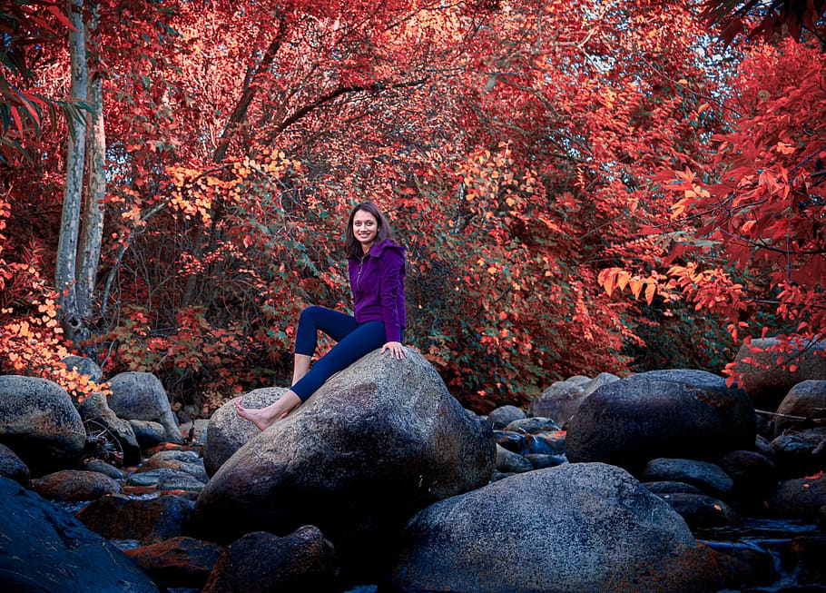 leaf, plant, tree, maple, person, human, nature, rubble, adventure HD wallpaper