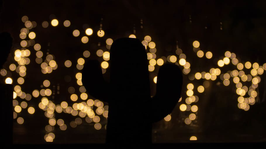 bokeh, light, lightscape, cactus, tree, christmas tree, christmas decoration HD wallpaper