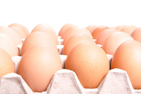 eggs, box, isolated, protein, food, brown, above, raw, package HD wallpaper