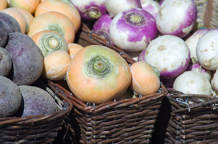 turnips, garden, vegetable garden, vegetables, harvest, basket, HD wallpaper